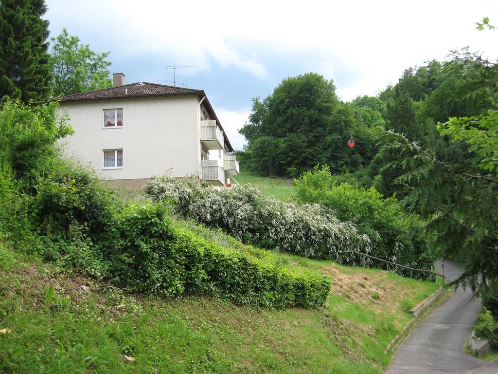 Schlossberg Ferienwohnung Waldeck  Exterior foto